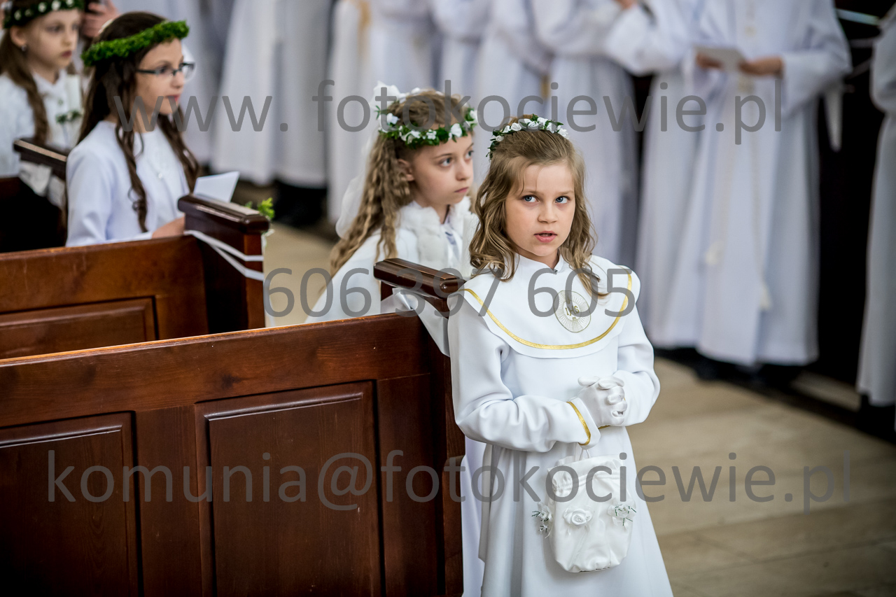 858_IMG_4003