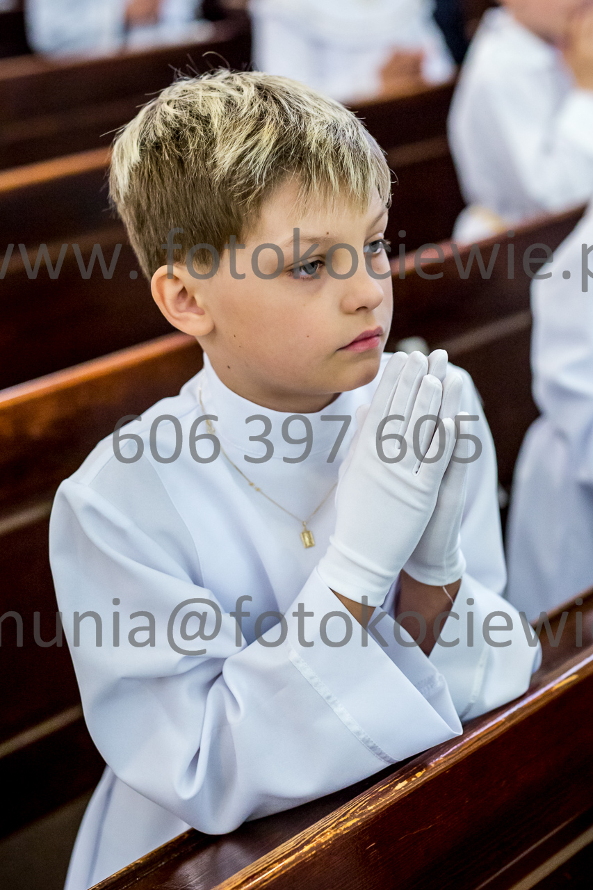 279_IMG_4354