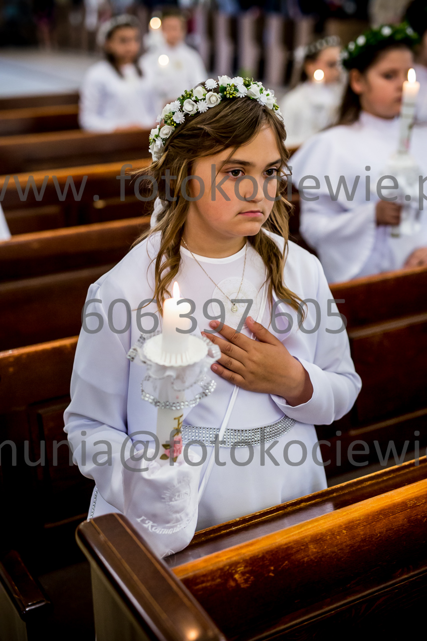 487_IMG_4499