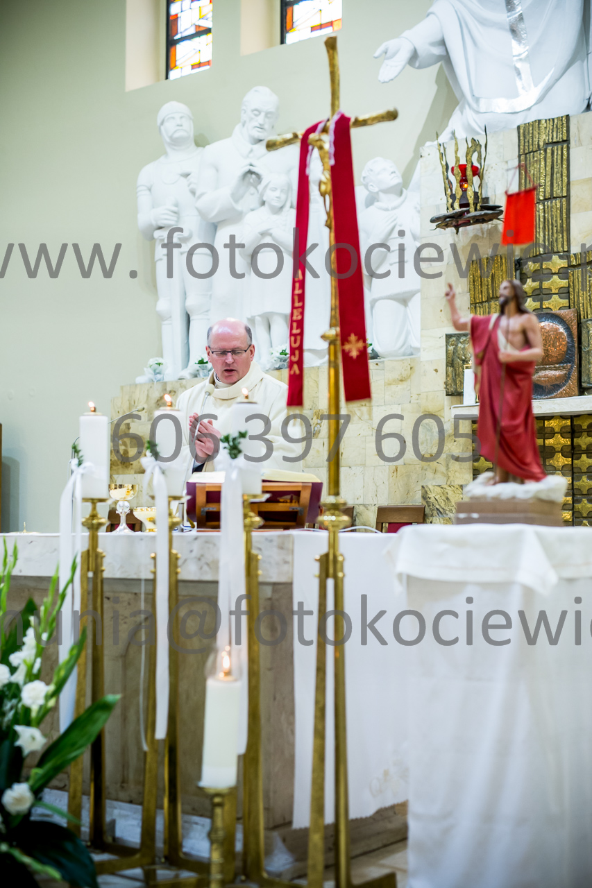 601_IMG_4569