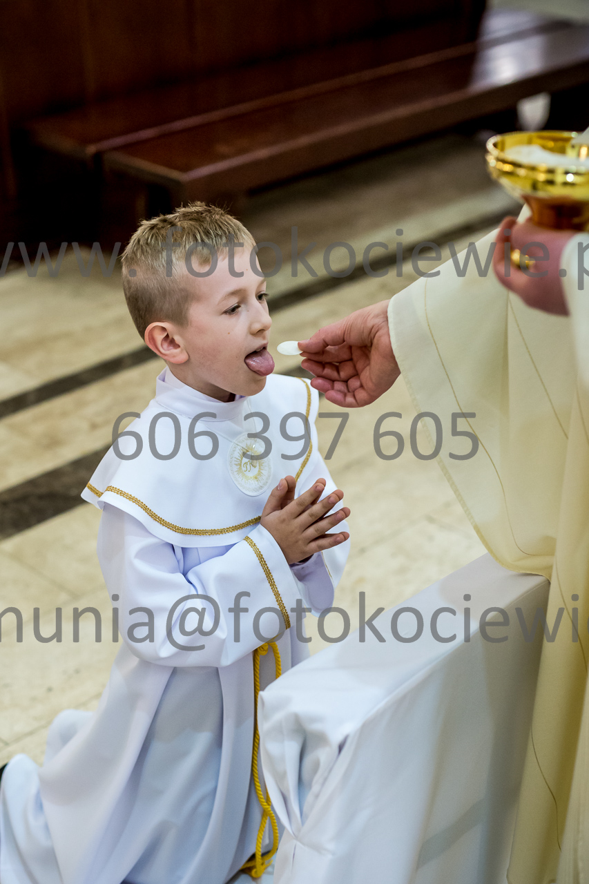 644_IMG_4604