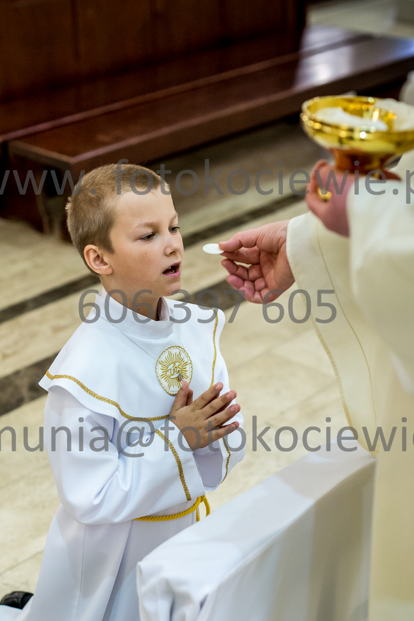 647_IMG_4607