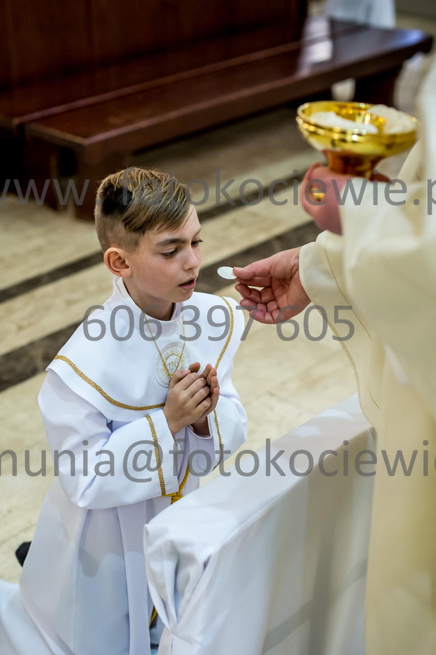650_IMG_4610
