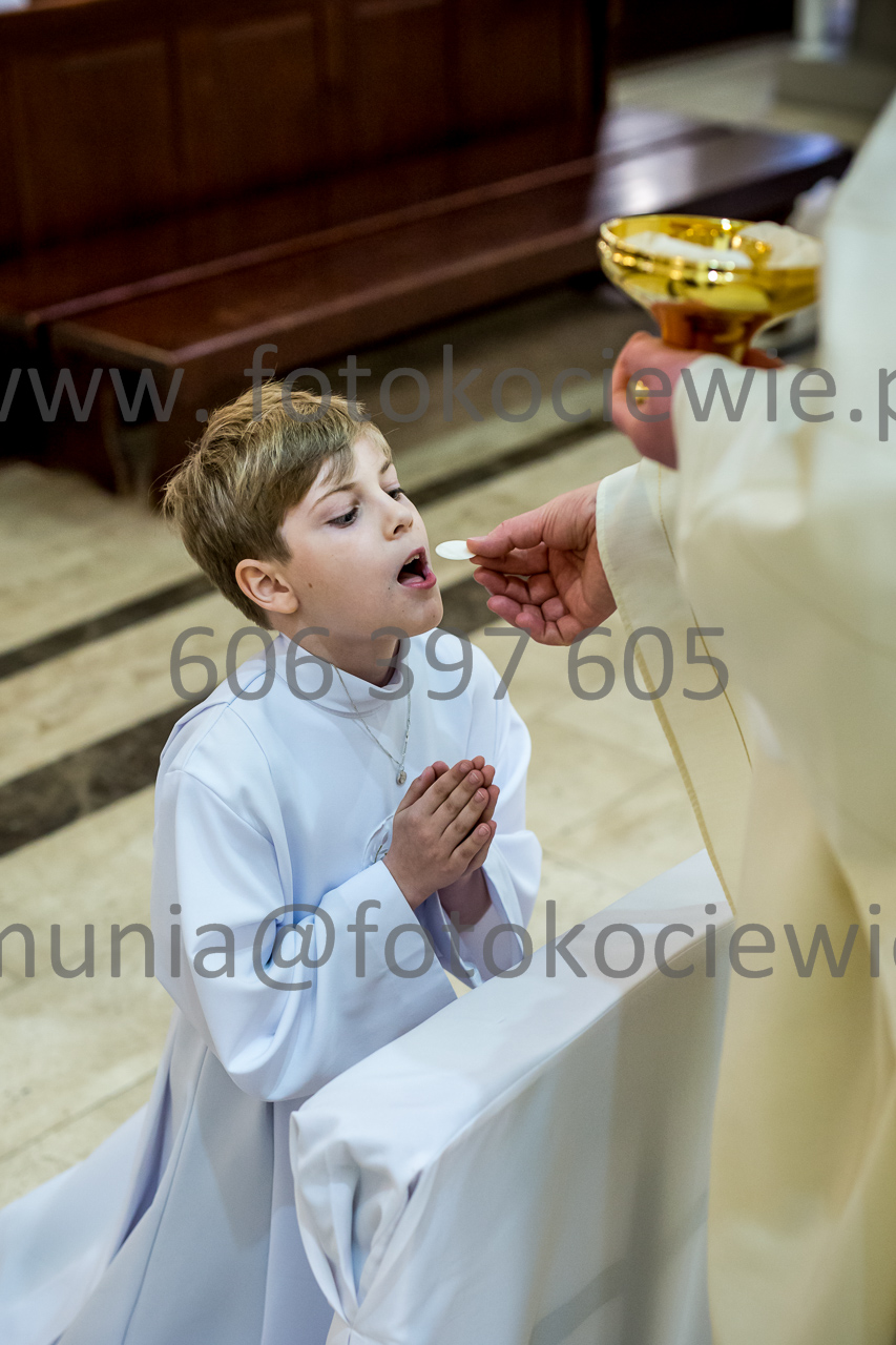 659_IMG_4619