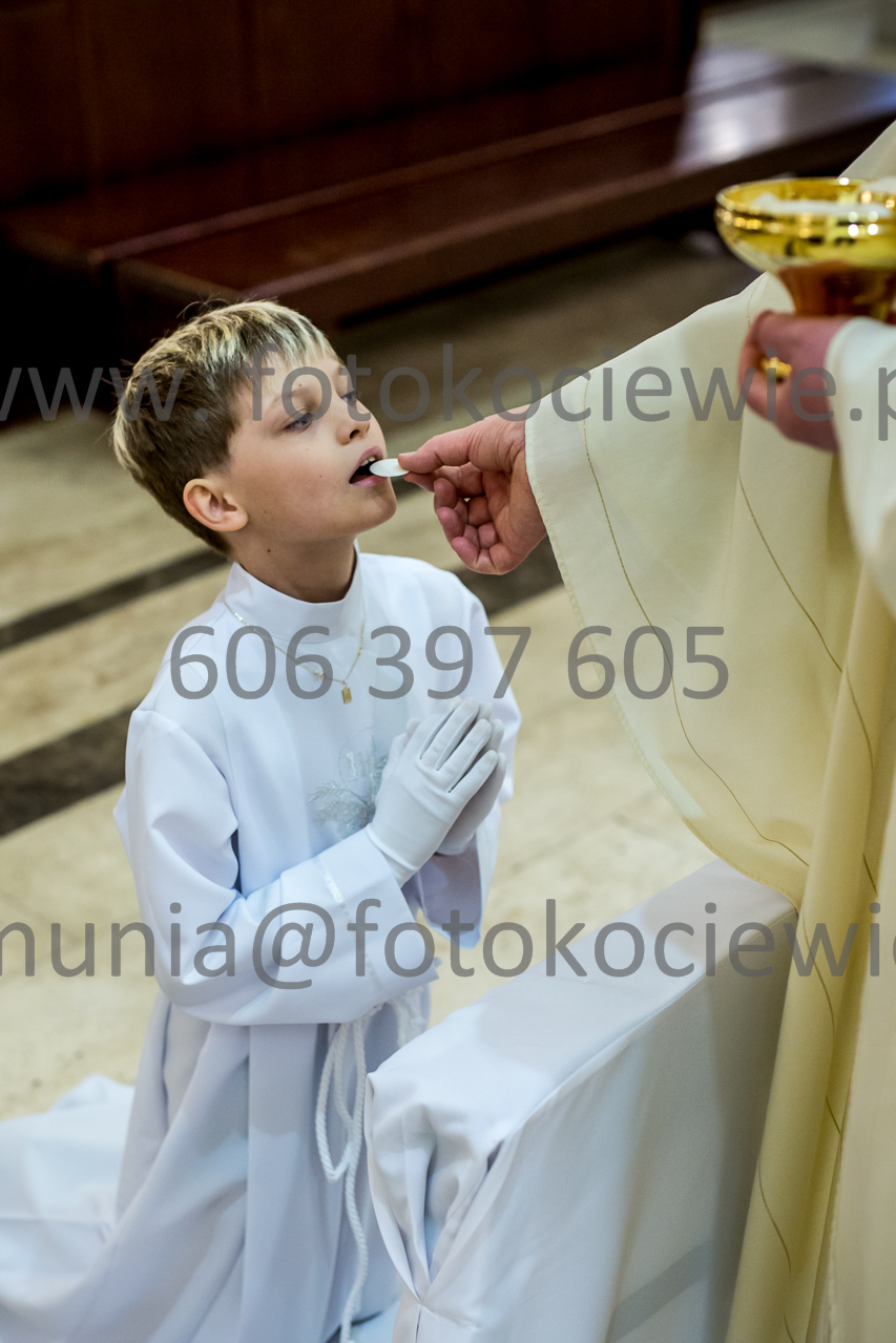 669_IMG_4629
