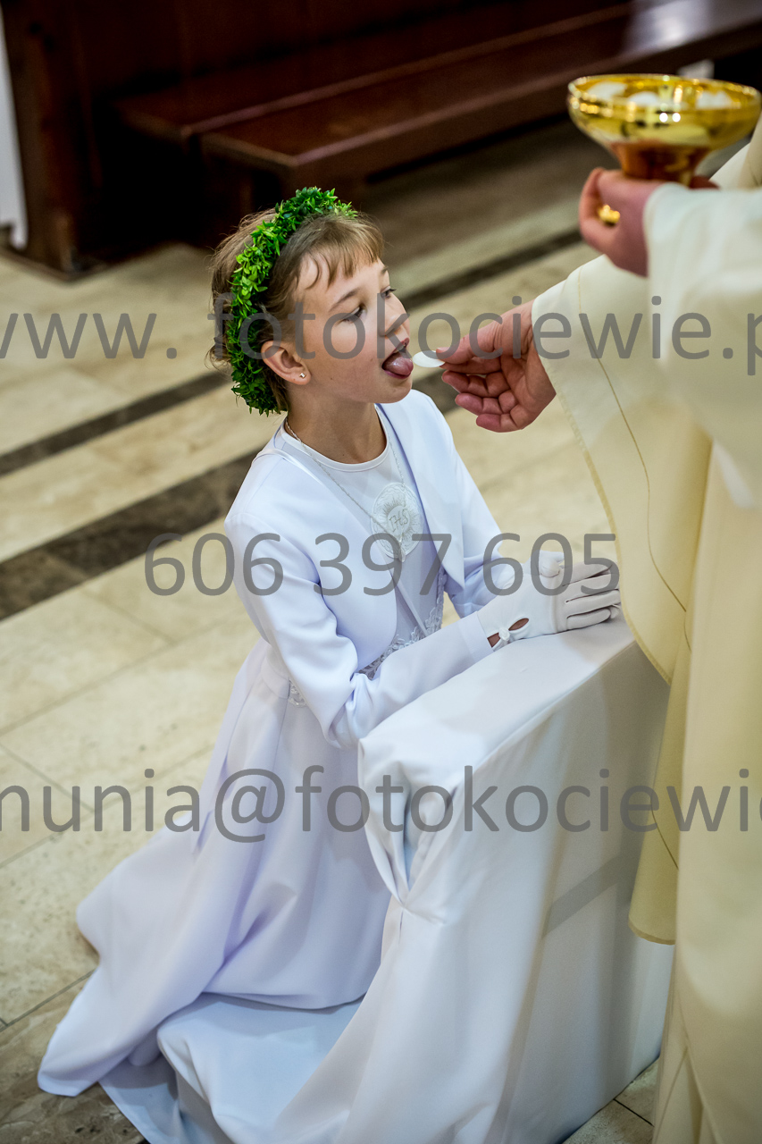 690_IMG_4650