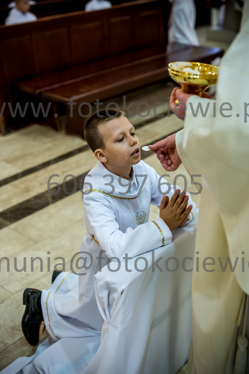 733_IMG_4693