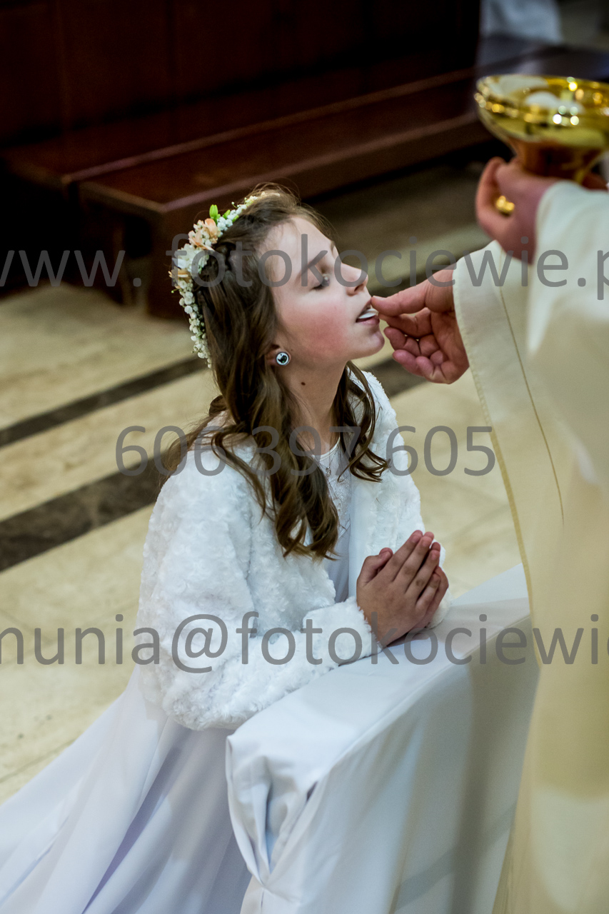 736_IMG_4696
