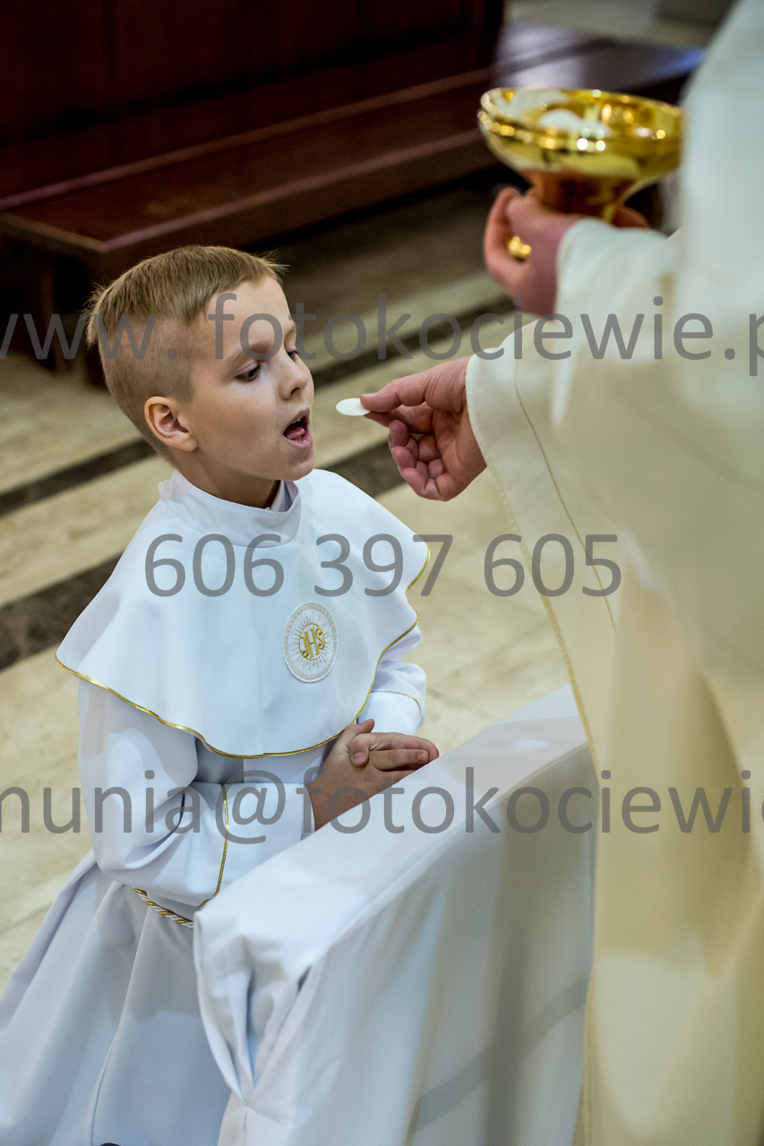 742_IMG_4702