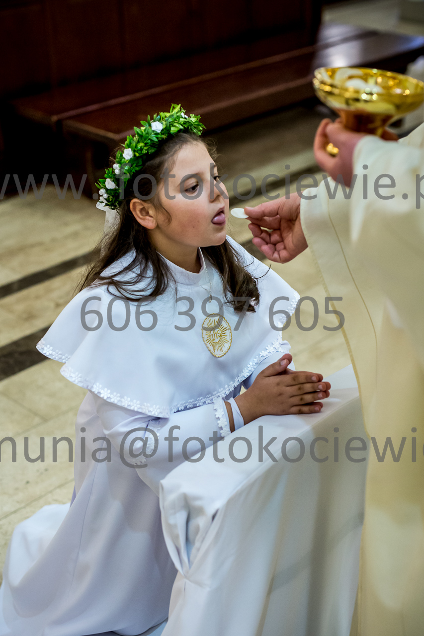 747_IMG_4708