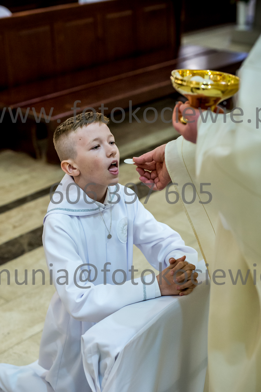 750_IMG_4711