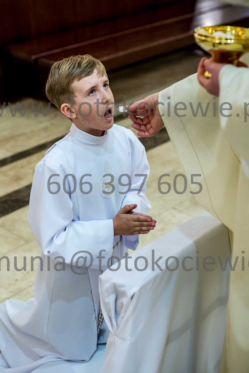 762_IMG_4723