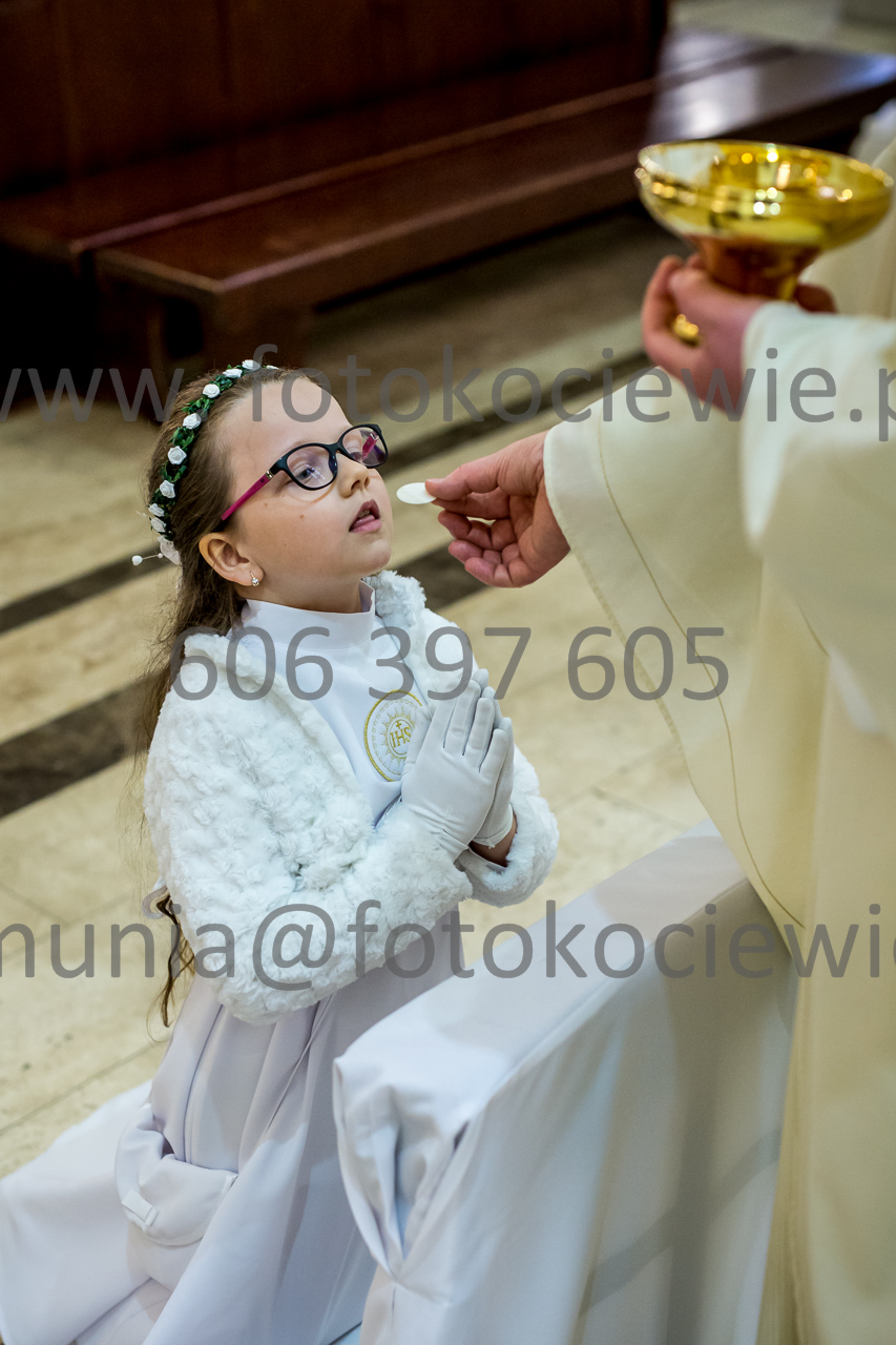 768_IMG_4729