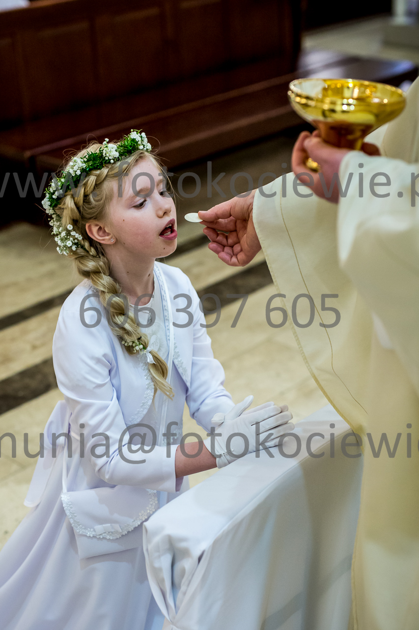 771_IMG_4732