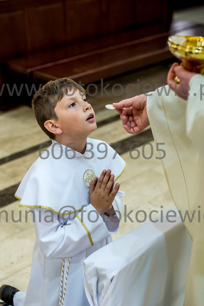 785_IMG_4746