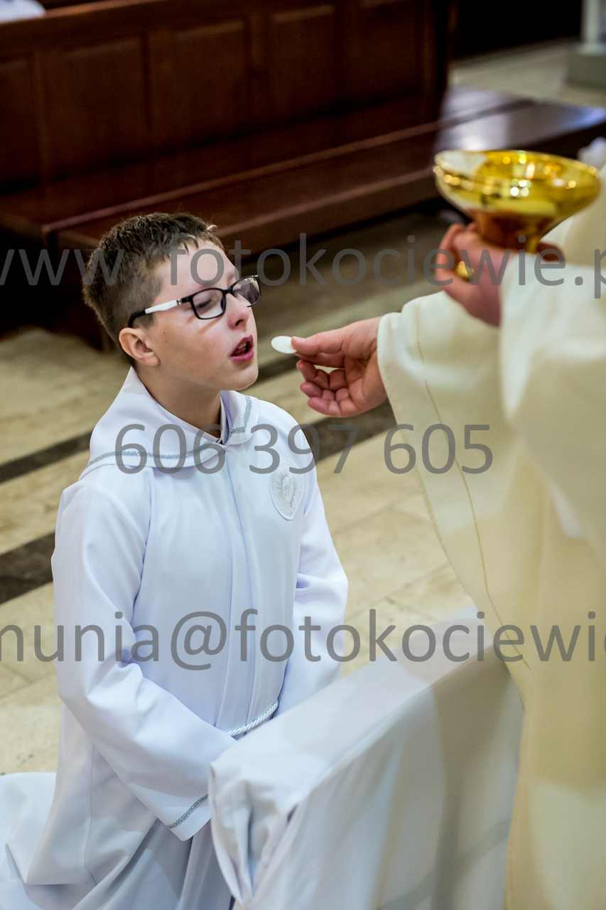 790_IMG_4752