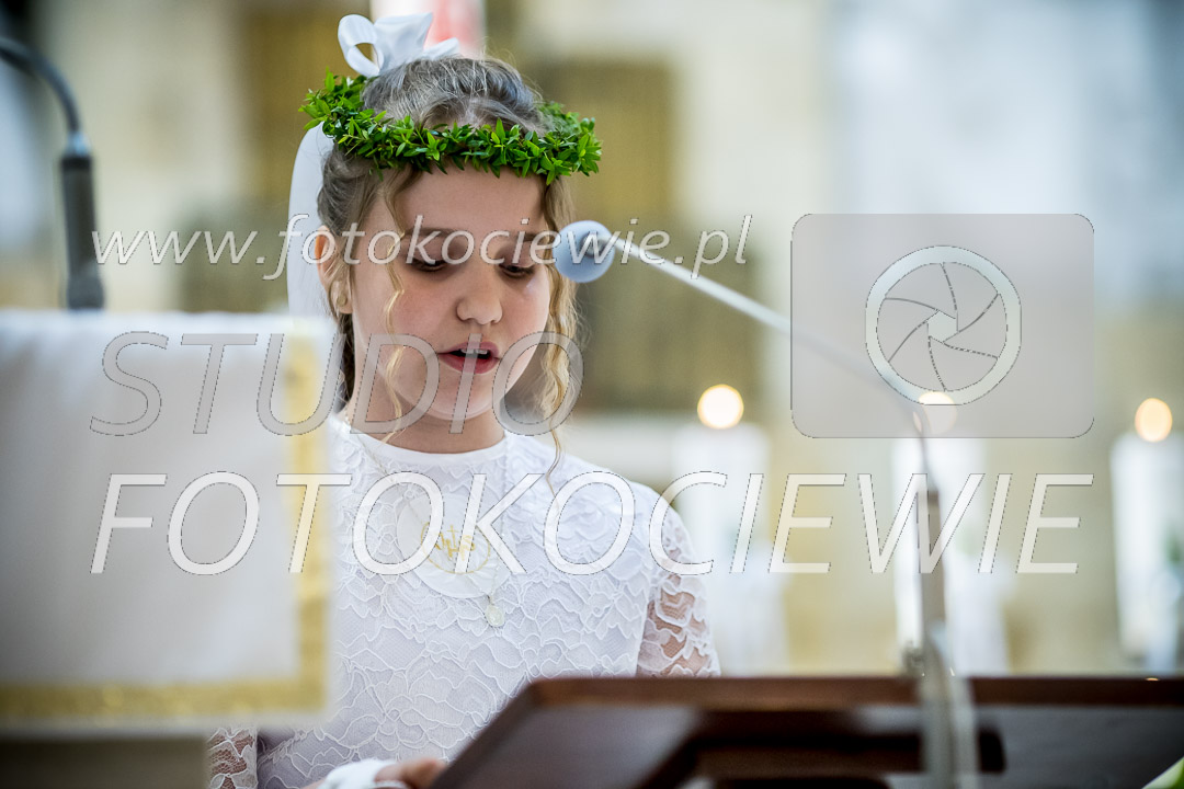 NAZWA PLIKU: <b> 272<b>_IMG_0485.jpg