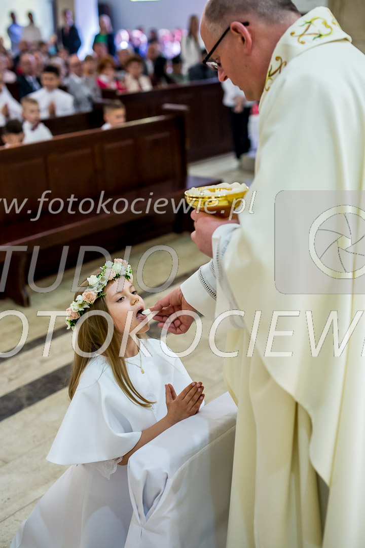 NAZWA PLIKU: <b> 391<b>_IMG_1382.jpg