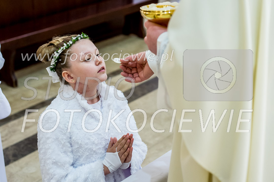 NAZWA PLIKU: <b> 455<b>_IMG_1446.jpg