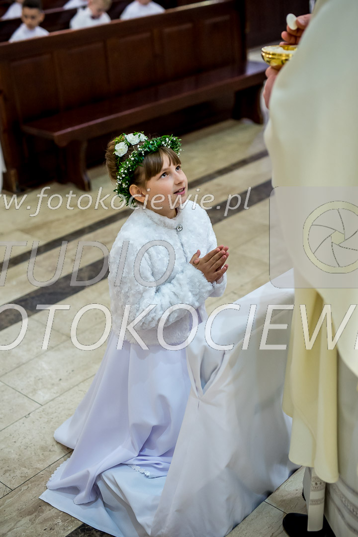 NAZWA PLIKU: <b> 485<b>_IMG_1476.jpg