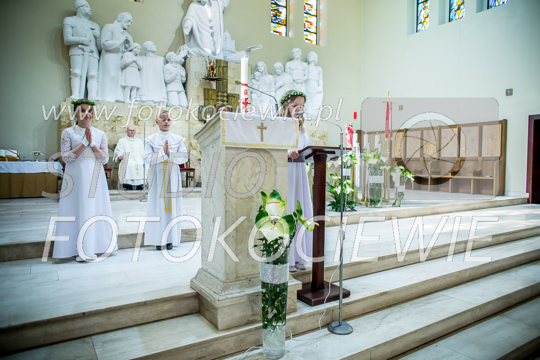 NAZWA PLIKU: <b> 261<b>_IMG_9537.jpg