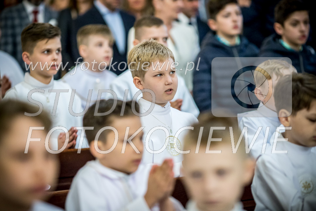 NAZWA PLIKU: <b> 335<b>_IMG_0708.jpg