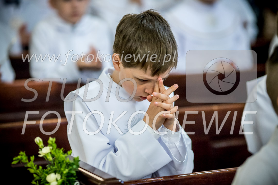 NAZWA PLIKU: <b> 337<b>_IMG_0711.jpg