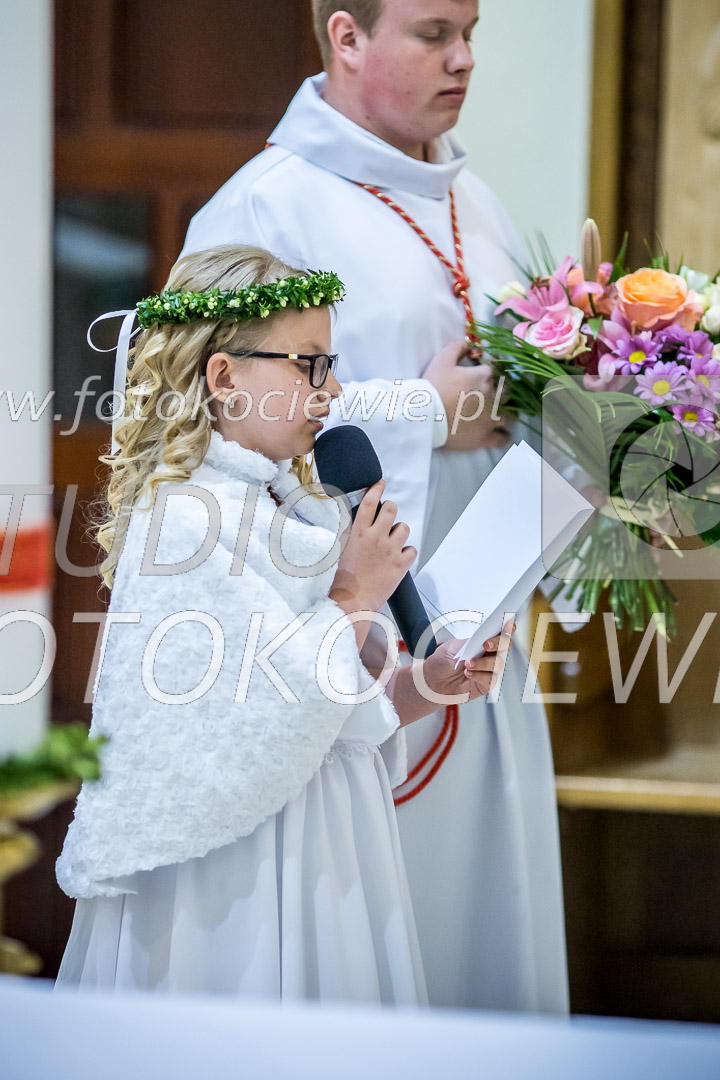 NAZWA PLIKU: <b> 732<b>_IMG_0802.jpg