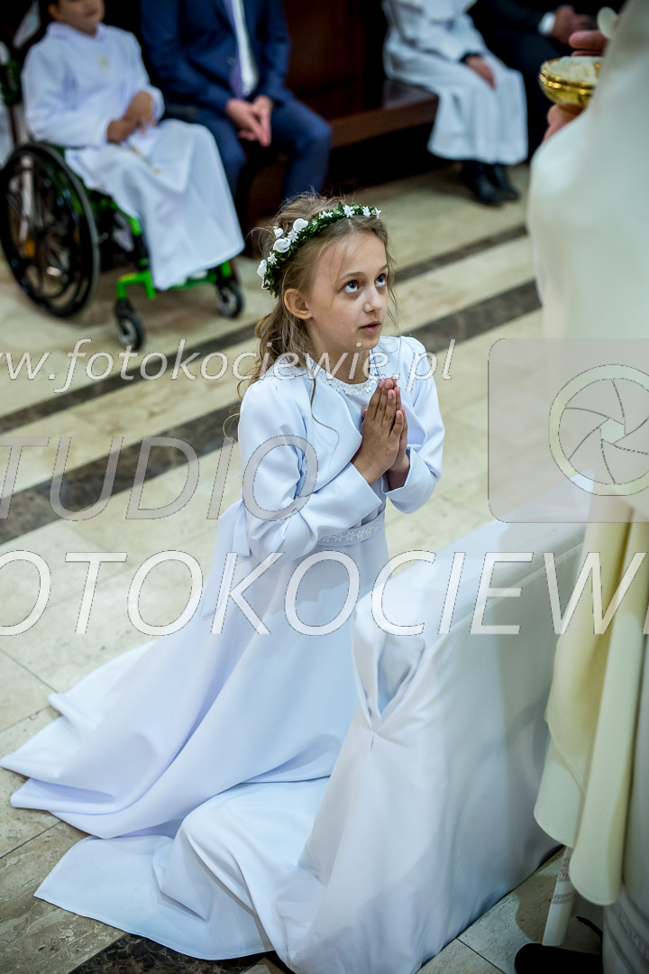 NAZWA PLIKU: <b> 499<b>_IMG_2151.jpg
