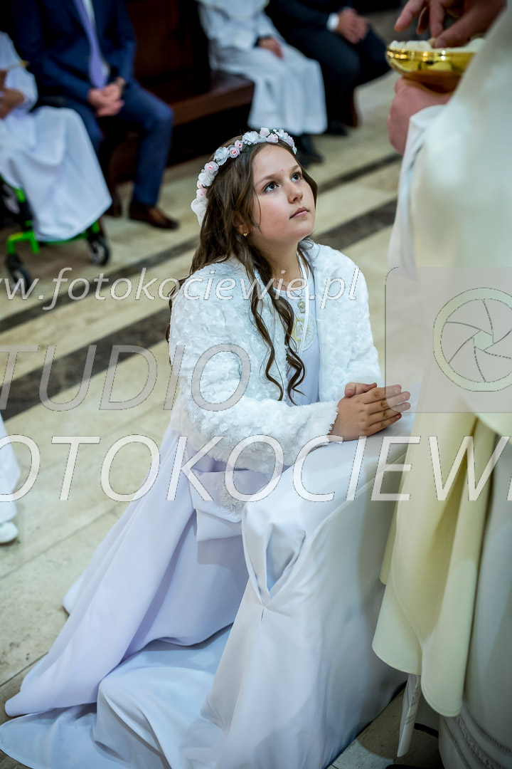 NAZWA PLIKU: <b> 556<b>_IMG_2209.jpg