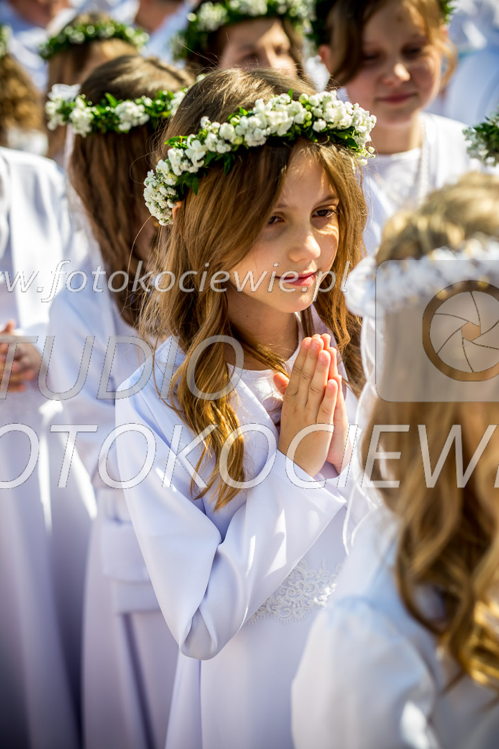 NAZWA PLIKU: <b> 138<b>_IMG_0146.jpg