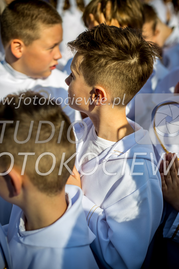 NAZWA PLIKU: <b> 163<b>_IMG_0173.jpg
