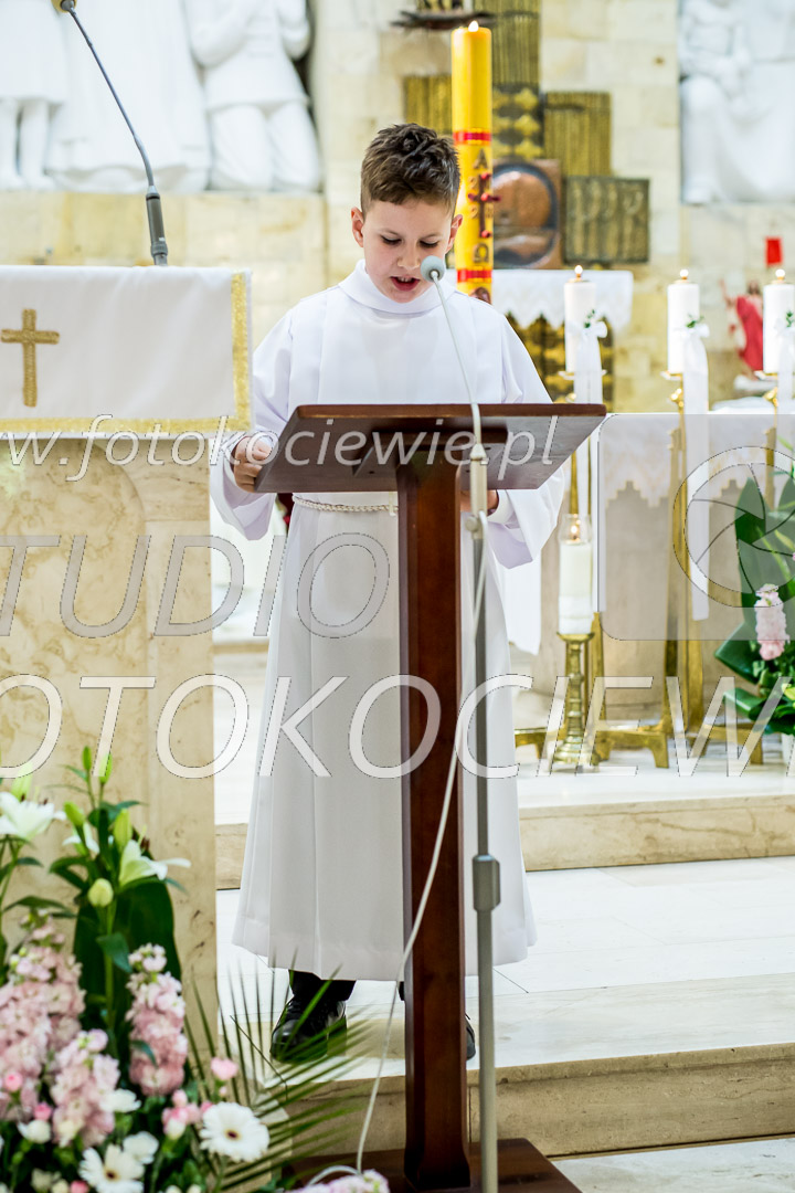 NAZWA PLIKU: <b> 481<b>_IMG_0402.jpg