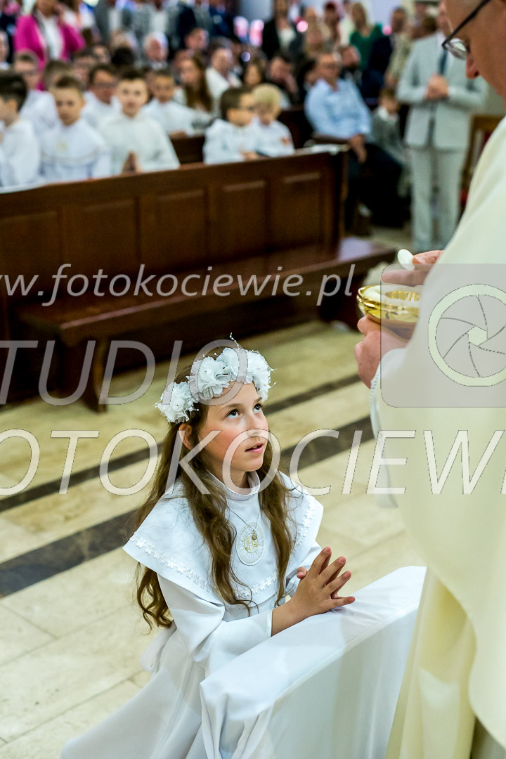 NAZWA PLIKU: <b> 572<b>_IMG_5451.jpg