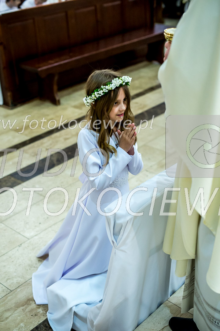 NAZWA PLIKU: <b> 716<b>_IMG_5596.jpg