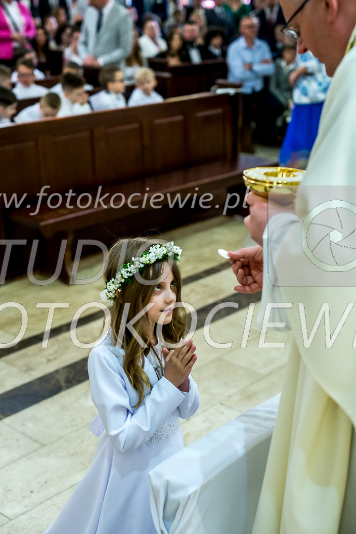 NAZWA PLIKU: <b> 717<b>_IMG_5597.jpg