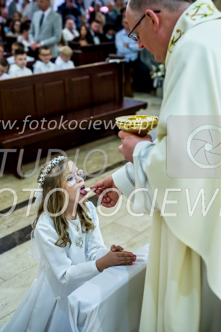 NAZWA PLIKU: <b> 732<b>_IMG_5613.jpg