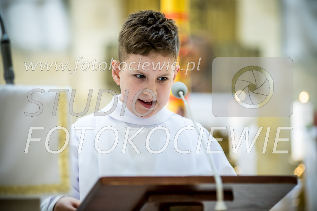 NAZWA PLIKU: <b> 483<b>_IMG_6002.jpg