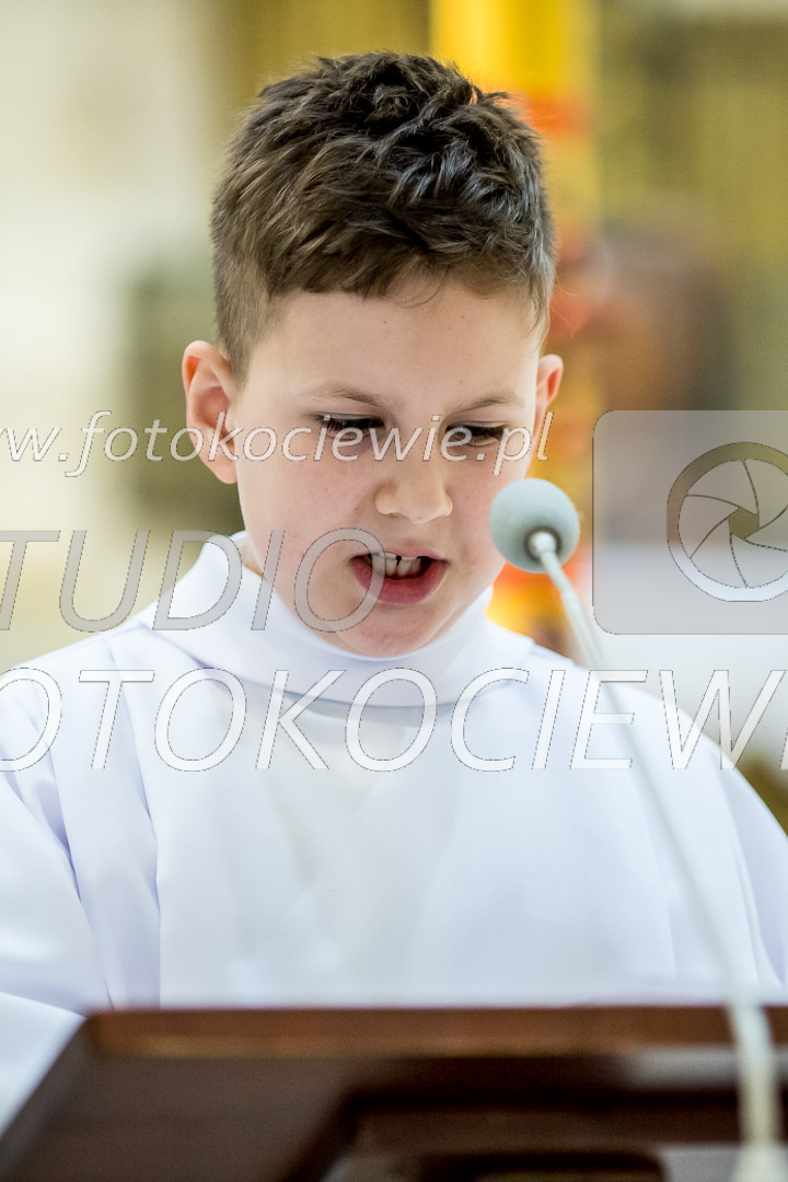 NAZWA PLIKU: <b> 486<b>_IMG_6005.jpg