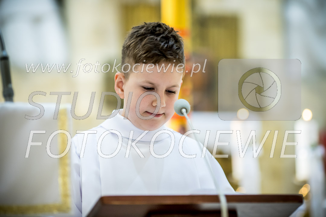 NAZWA PLIKU: <b> 487<b>_IMG_6006.jpg