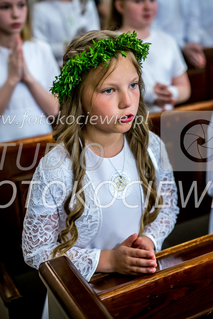 NAZWA PLIKU: <b> 254<b>_IMG_6193.jpg