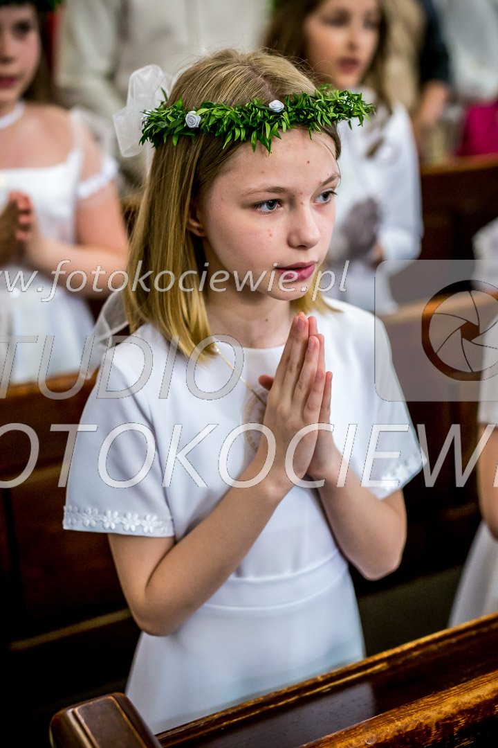 NAZWA PLIKU: <b> 256<b>_IMG_6195.jpg
