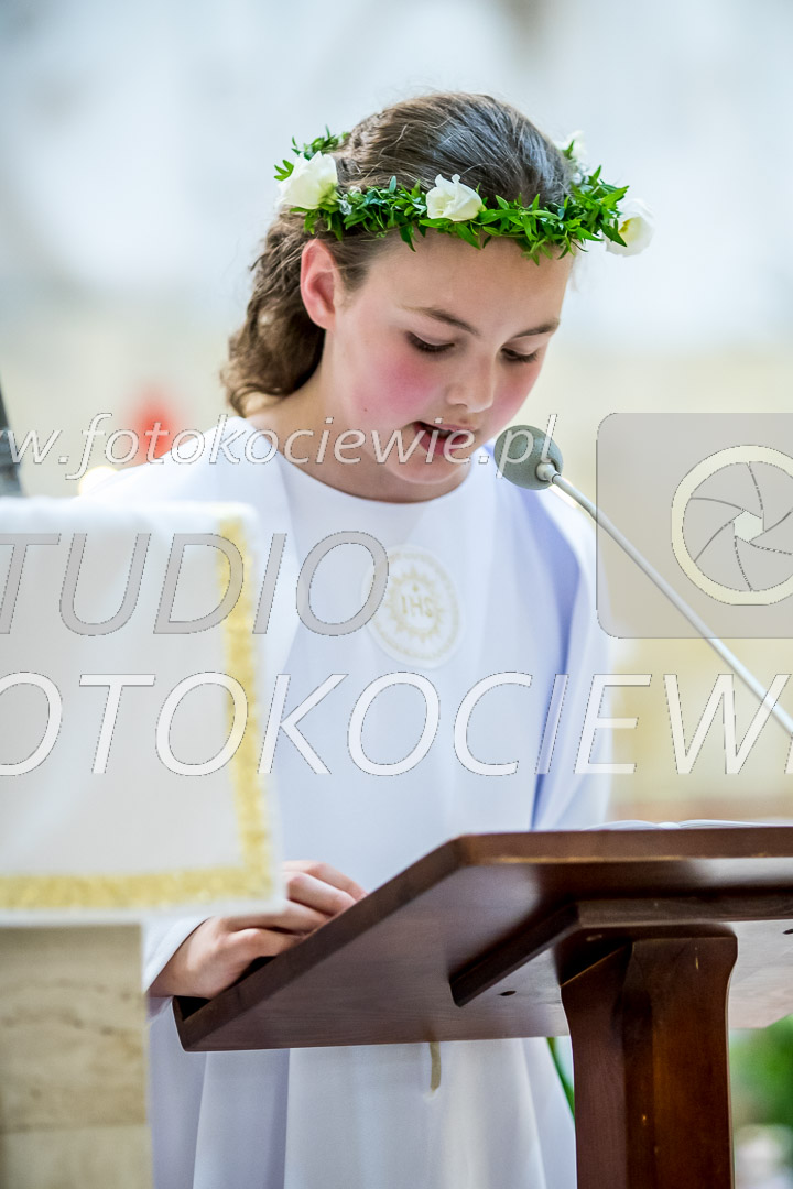 NAZWA PLIKU: <b> 487<b>_IMG_6204.jpg