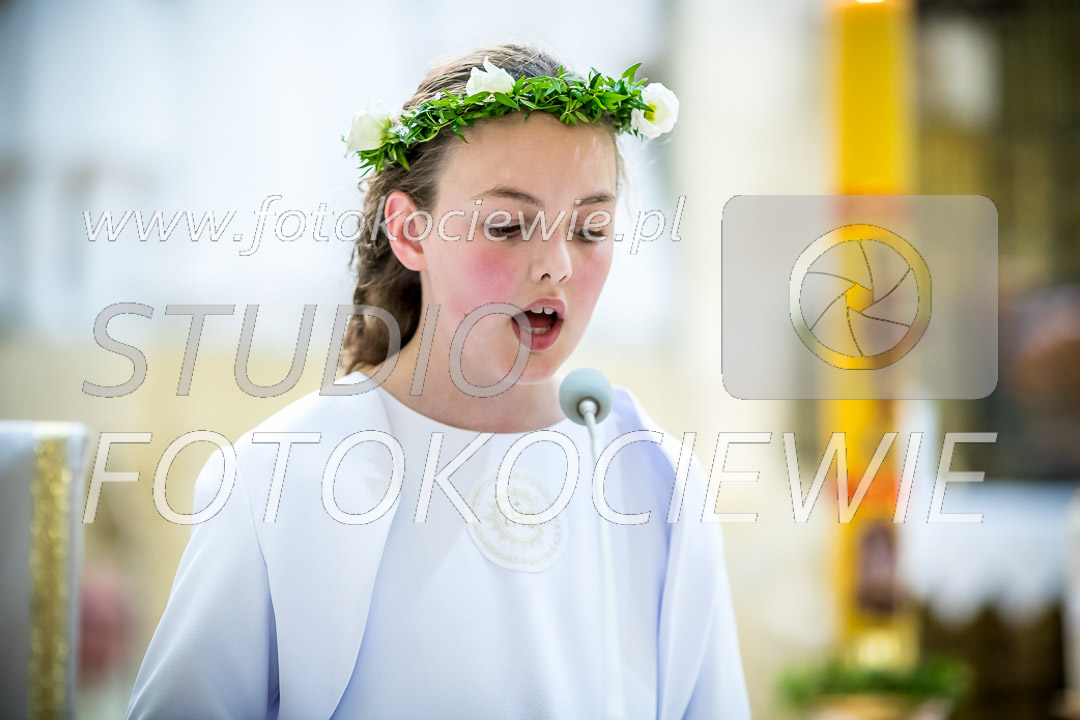 NAZWA PLIKU: <b> 493<b>_IMG_6209.jpg