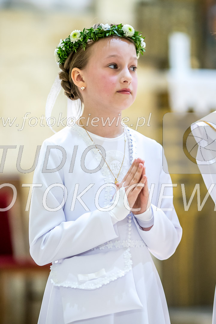 NAZWA PLIKU: <b> 495<b>_IMG_6211.jpg