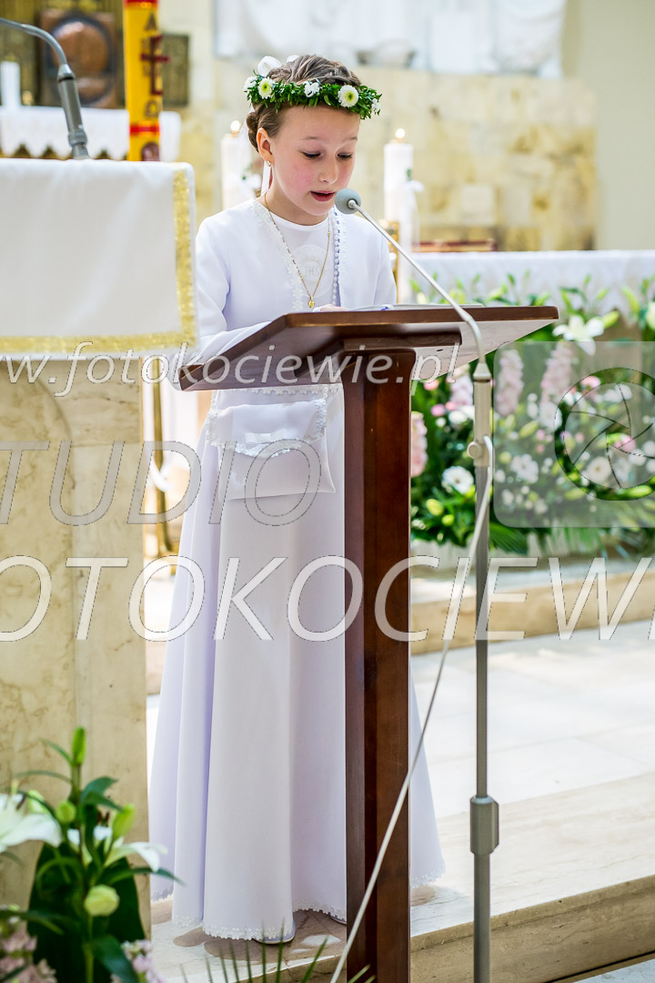 NAZWA PLIKU: <b> 461<b>_IMG_6317.jpg