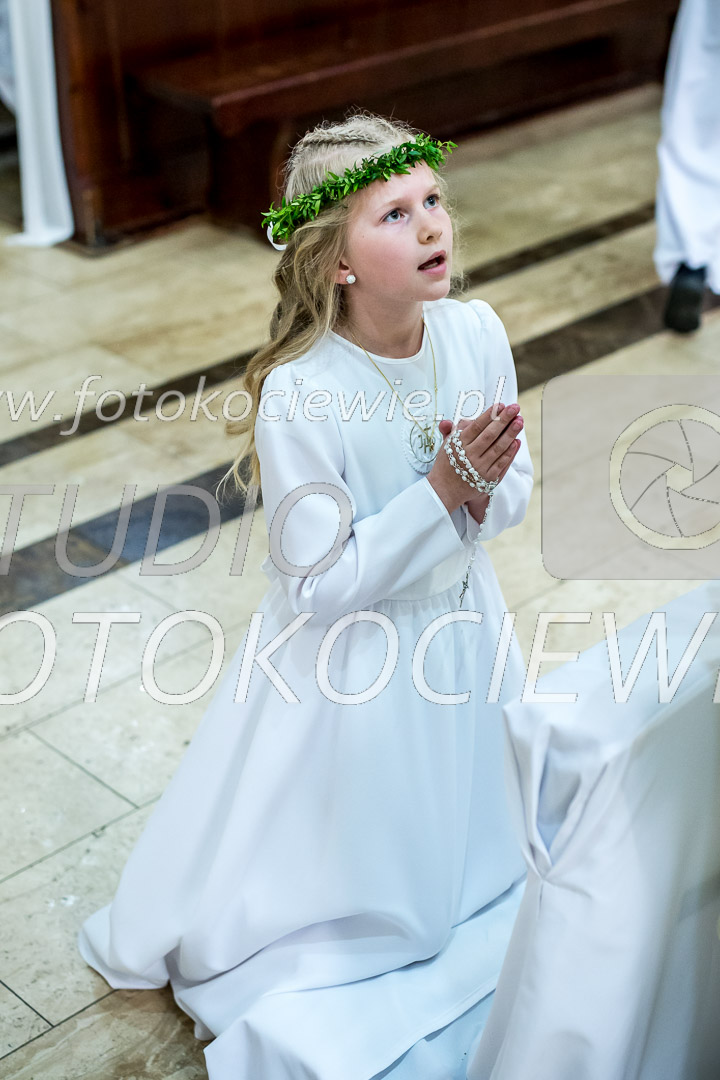 NAZWA PLIKU: <b> 785<b>_IMG_6547.jpg
