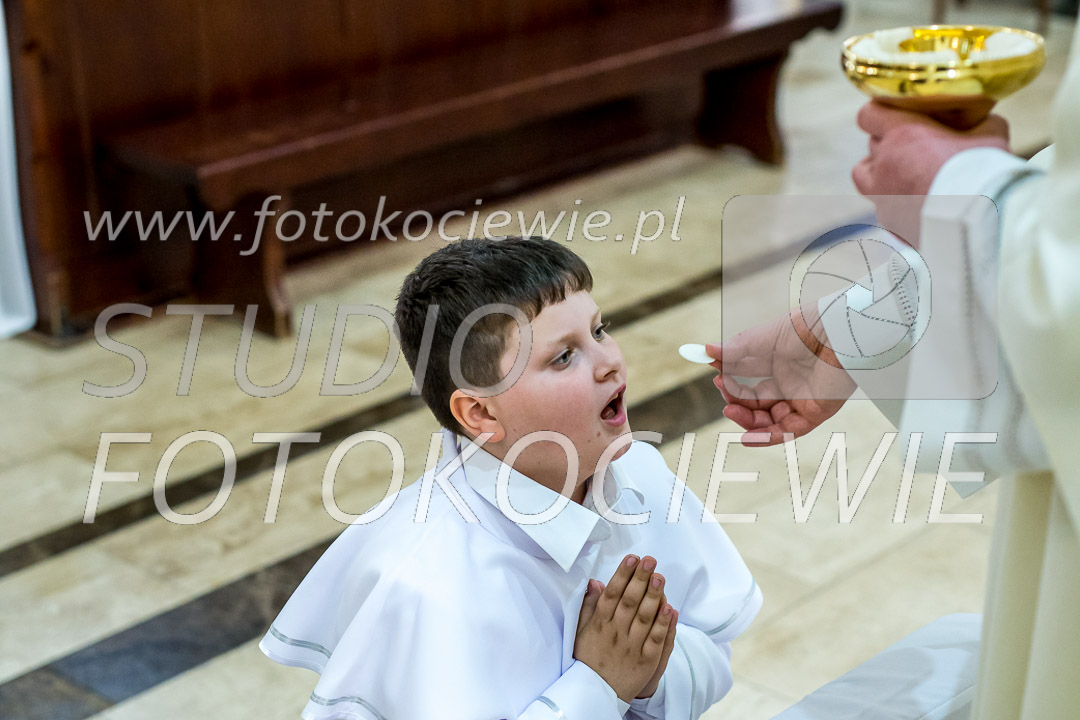 NAZWA PLIKU: <b> 889<b>_IMG_6655.jpg