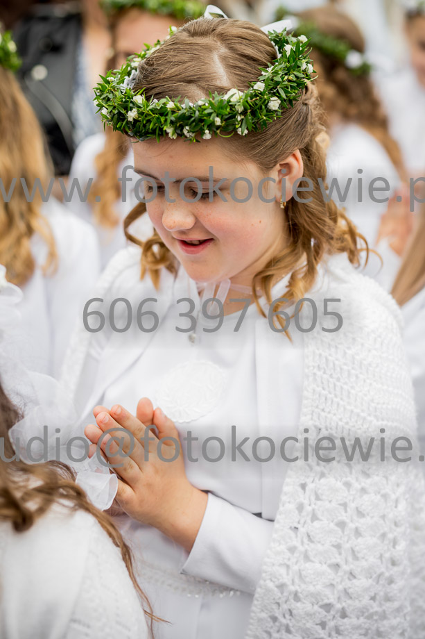 NAZWA PLIKU: <b> 065<b>_SFK_0065.jpg