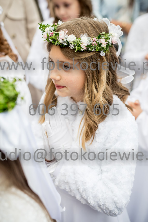 NAZWA PLIKU: <b> 079<b>_SFK_0079.jpg